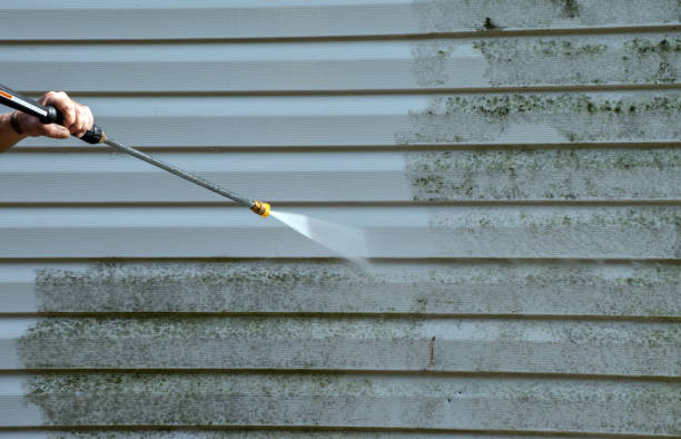 Best Driveway Pressure Washing  in Hamilton, OH